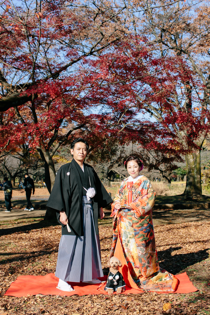 フォーマルポーズ