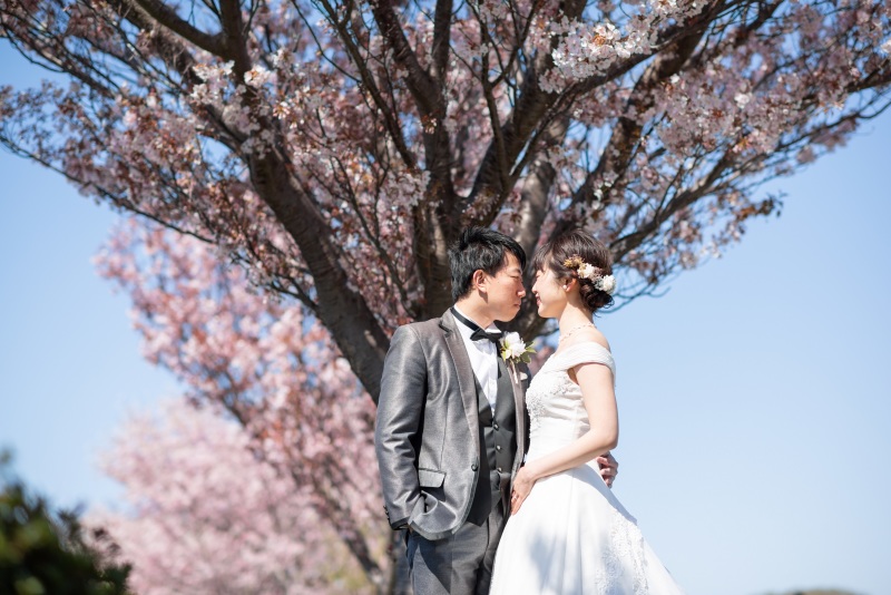 あと数センチ、、、