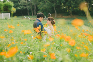 秋のお花といえば・・コスモス＊＊