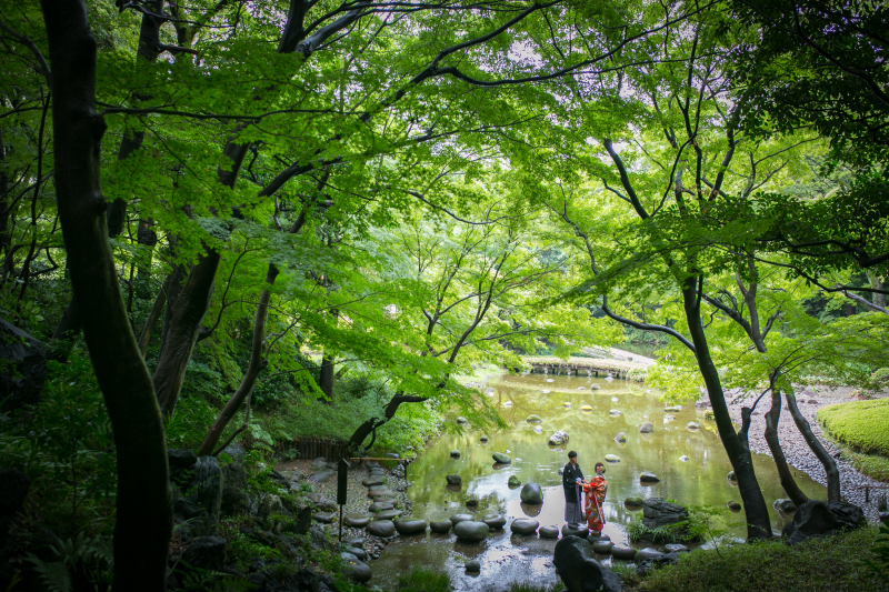 緑に包まれて・・・