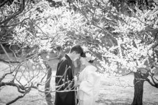 和装　旧芝離宮恩賜庭園