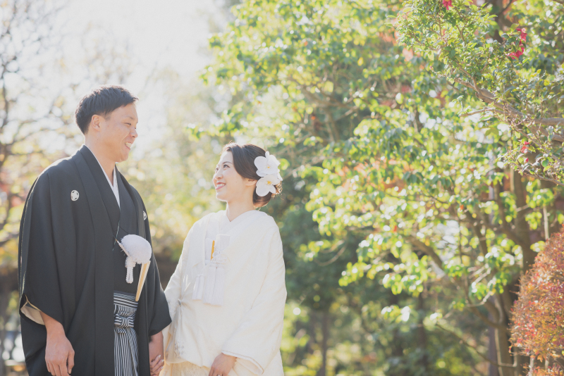 やわらかい光の中で*