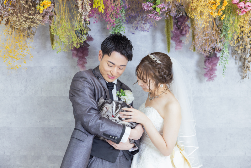 猫ちゃん、緊張気味です・・・