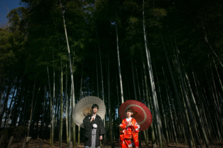 竹林と和傘のコラボ！