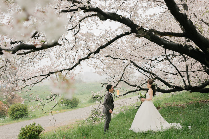 満開の桜の下で