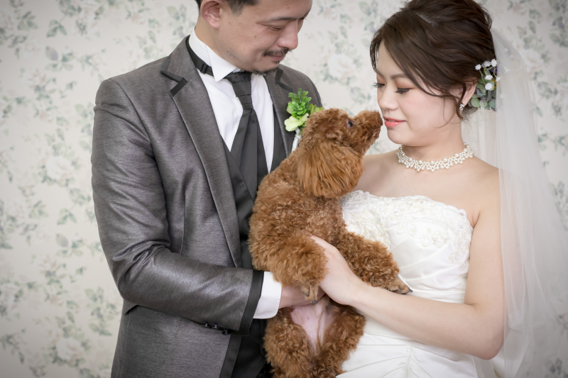 ワンちゃんと一緒に