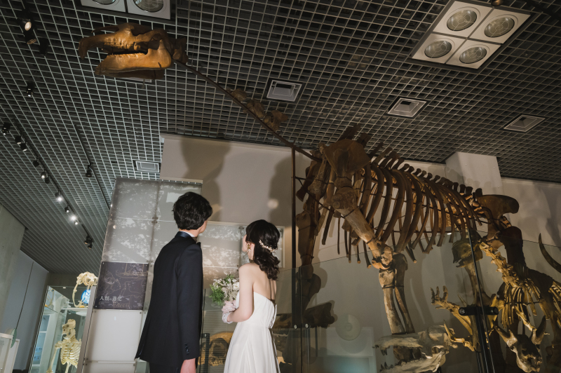 化石と一緒に