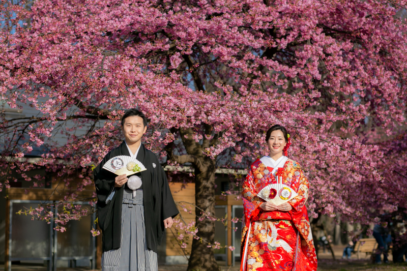 お和装と満開のお花