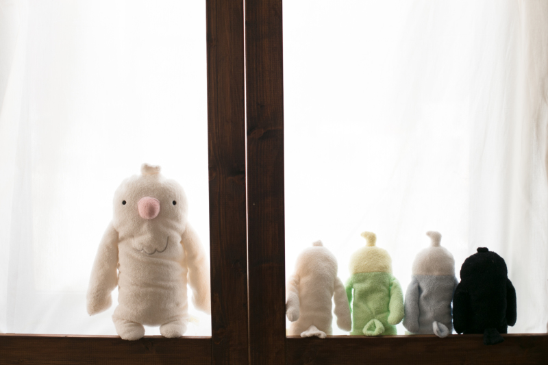 あ!何かがのぞいてる!!