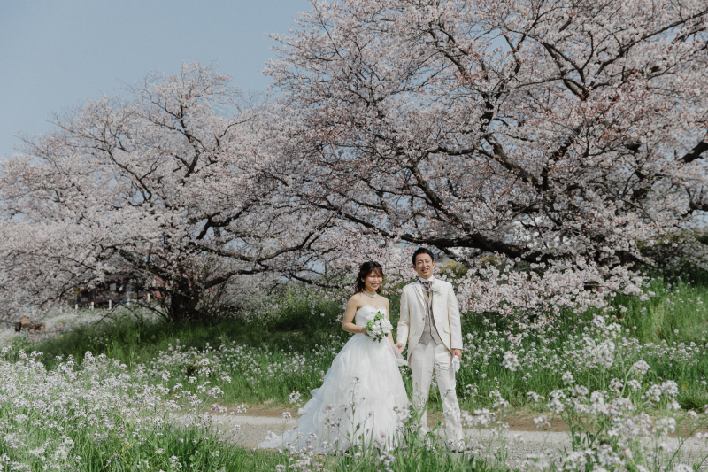 洋装　桜ロケーション