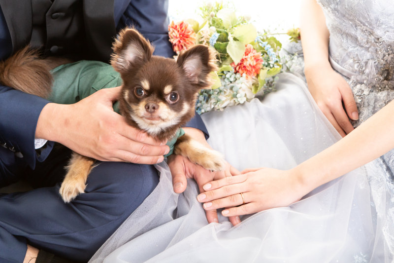 撮影のお手伝いしてます