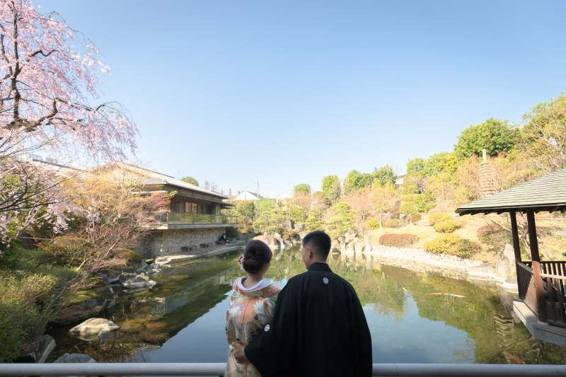 池を望んで・・・