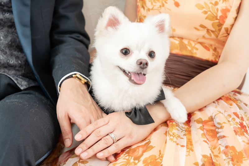 わんちゃんソロショット♡