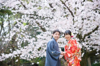 和装で桜の清澄庭園撮影