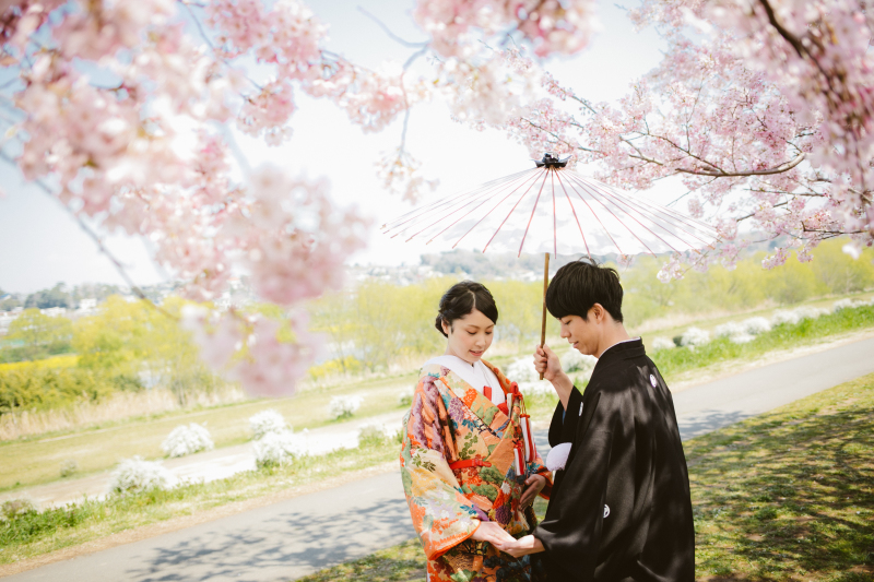 桜ロケーション