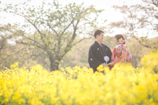 昭和記念公園〜菜の花〜