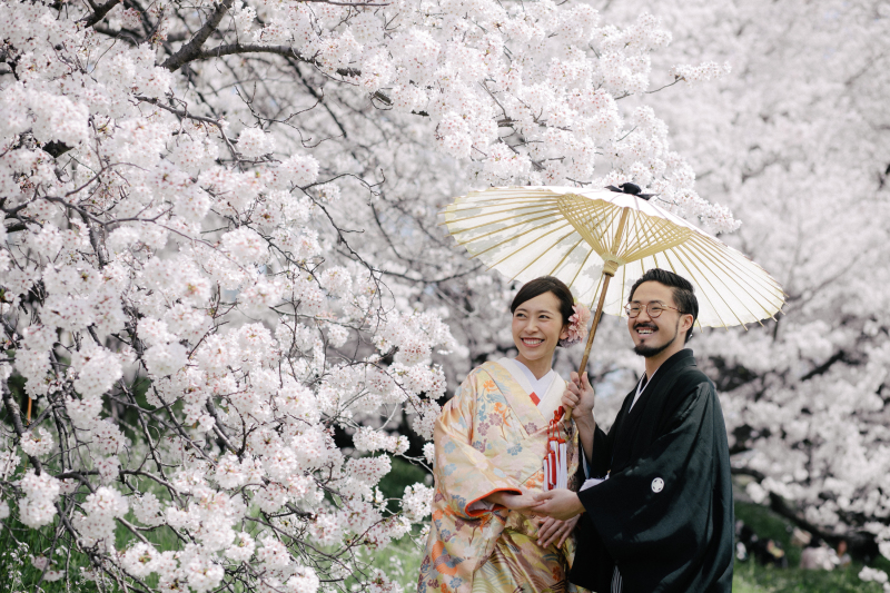 贅沢な桜背景！！