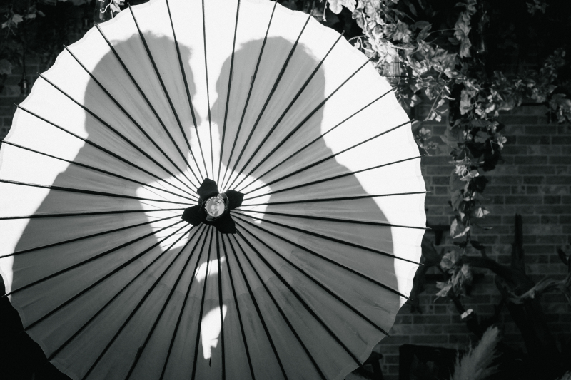 シルエット撮影も