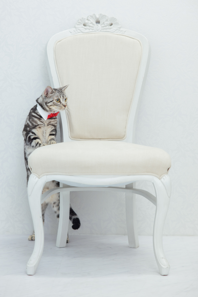 探検しながら、、