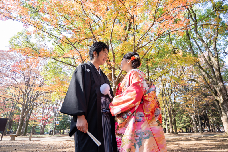 美しい紅葉の下で