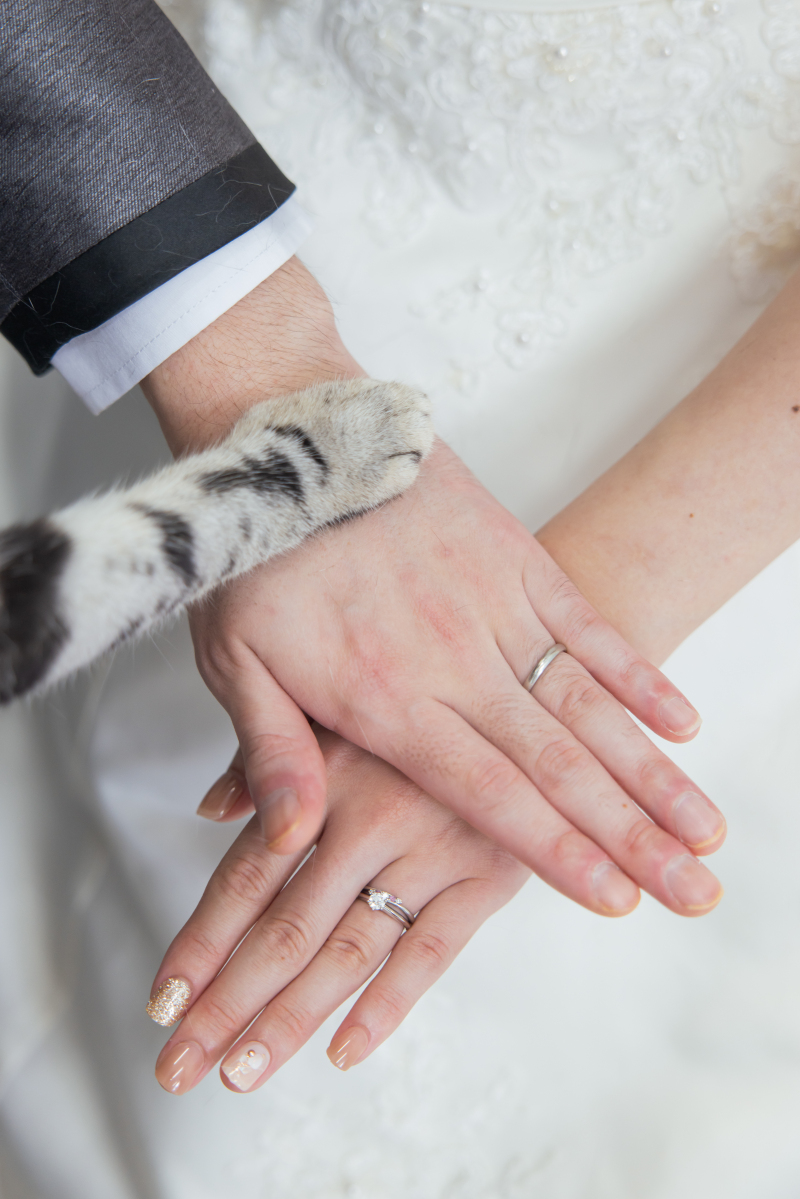 これは外せないショット!