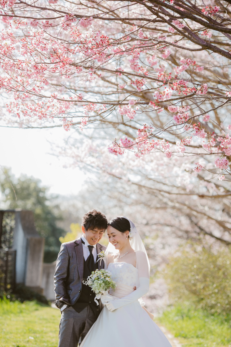 桜の木の下で＊