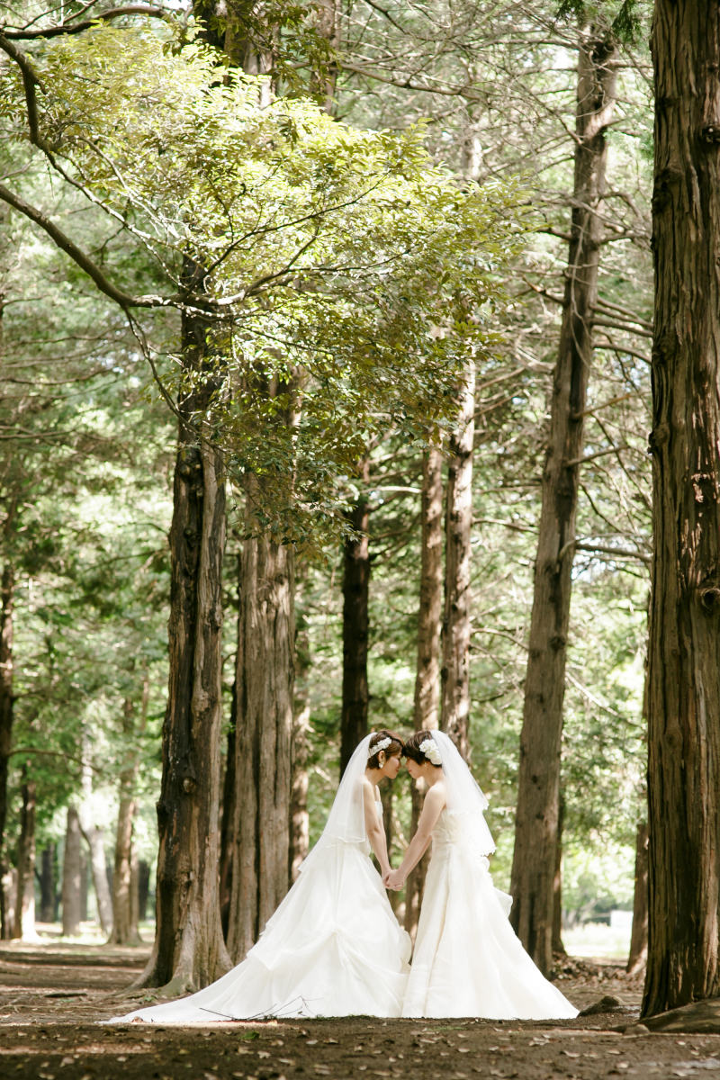 ドレス×ドレス　ロケーション