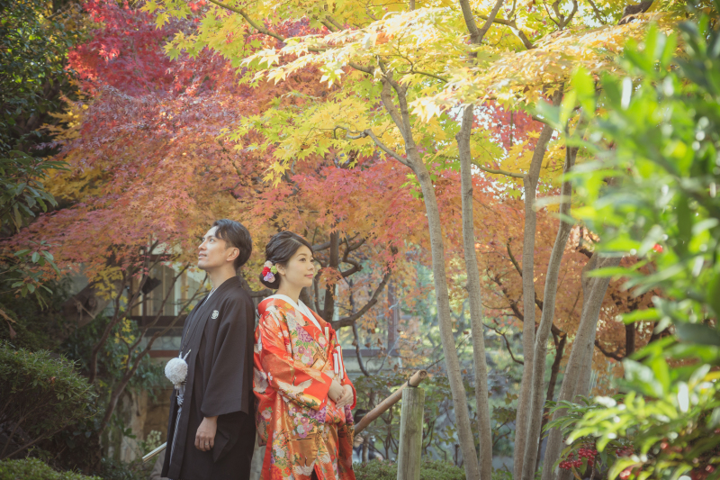 色とりどりの紅葉