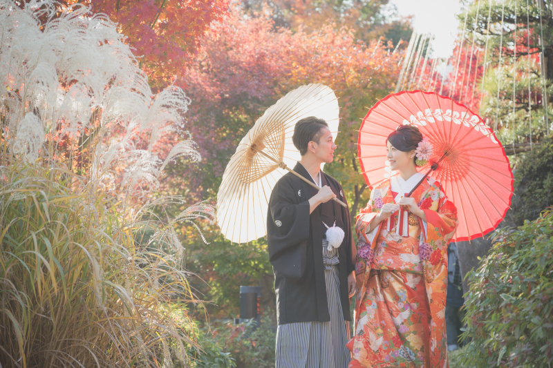 優しい日差しと