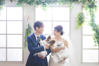 洋装　スタジオ撮影