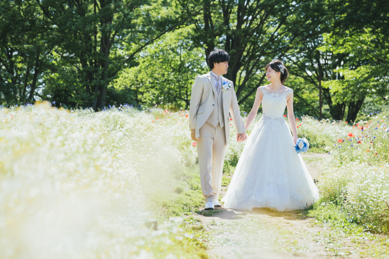 お花畑をお散歩