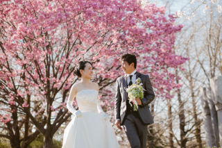 春の昭和記念公園＊