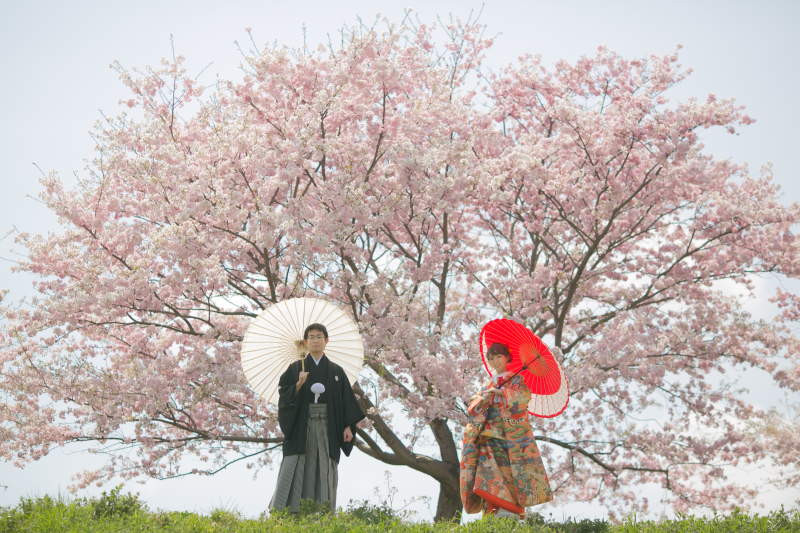 大きな桜と共に