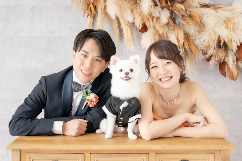 洋装　ペット　スタジオ