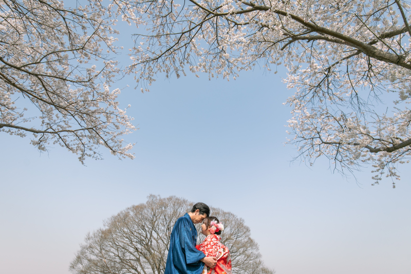 青空と桜♡