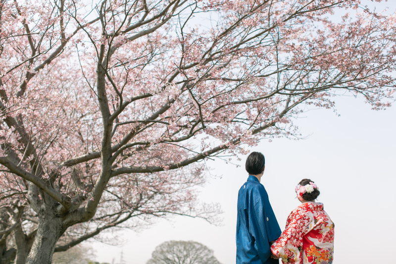 桜×和装