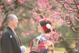都内庭園　満開の梅