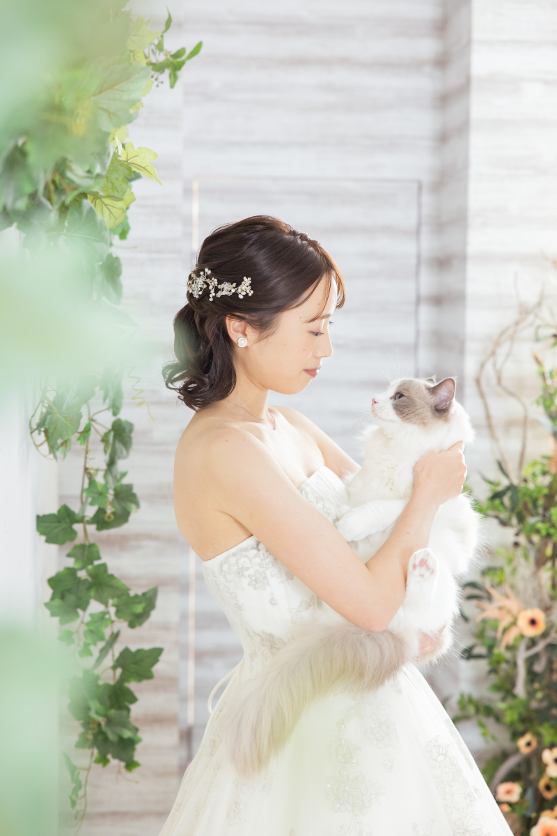 ご新婦様と猫ちゃんと