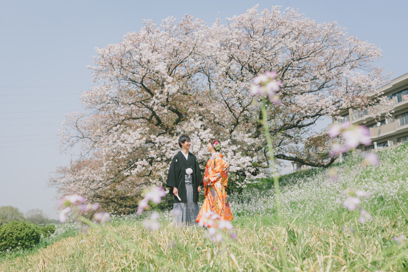 桜ロケーション