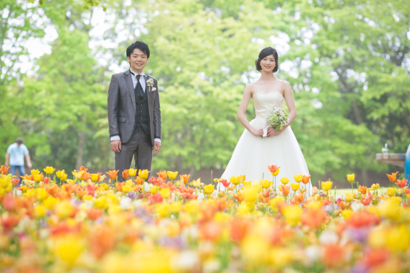 チューリップと