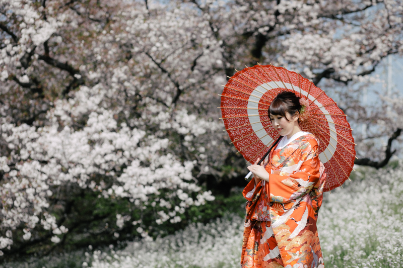 桜ロケーション