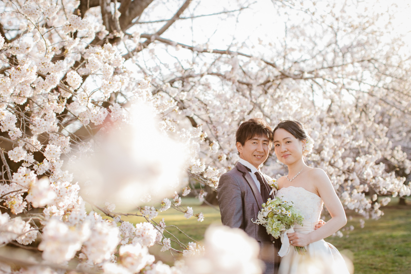 桜に包まれて＊