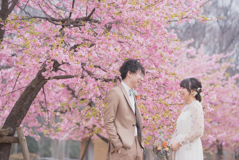 ピンクを背景に