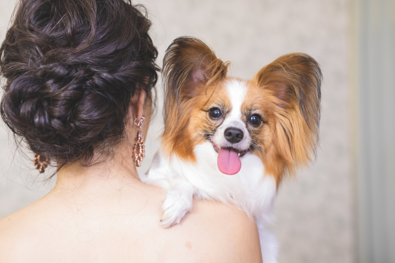 肩からひょっこり♪