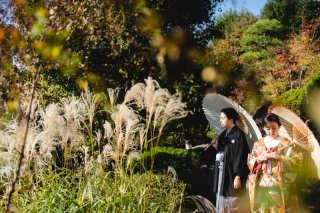 紅葉　和装ロケーション