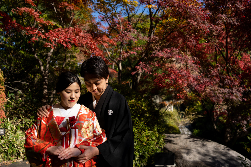 真っ赤な紅葉
