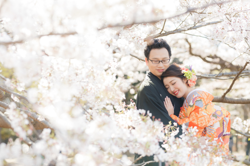 桜　ロケーションフォト