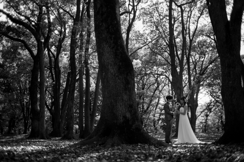 モノクロも・・・・。