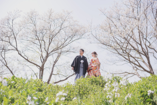 河川敷　和装　桜撮影