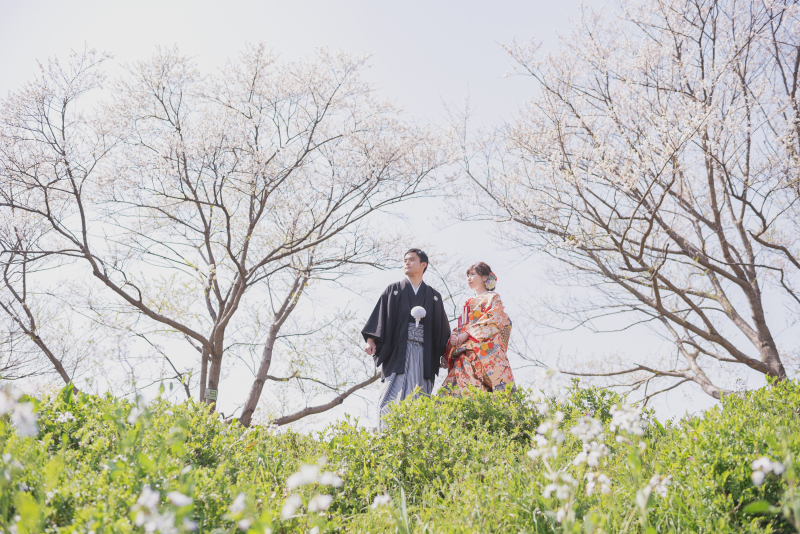 河川敷　和装　桜撮影
